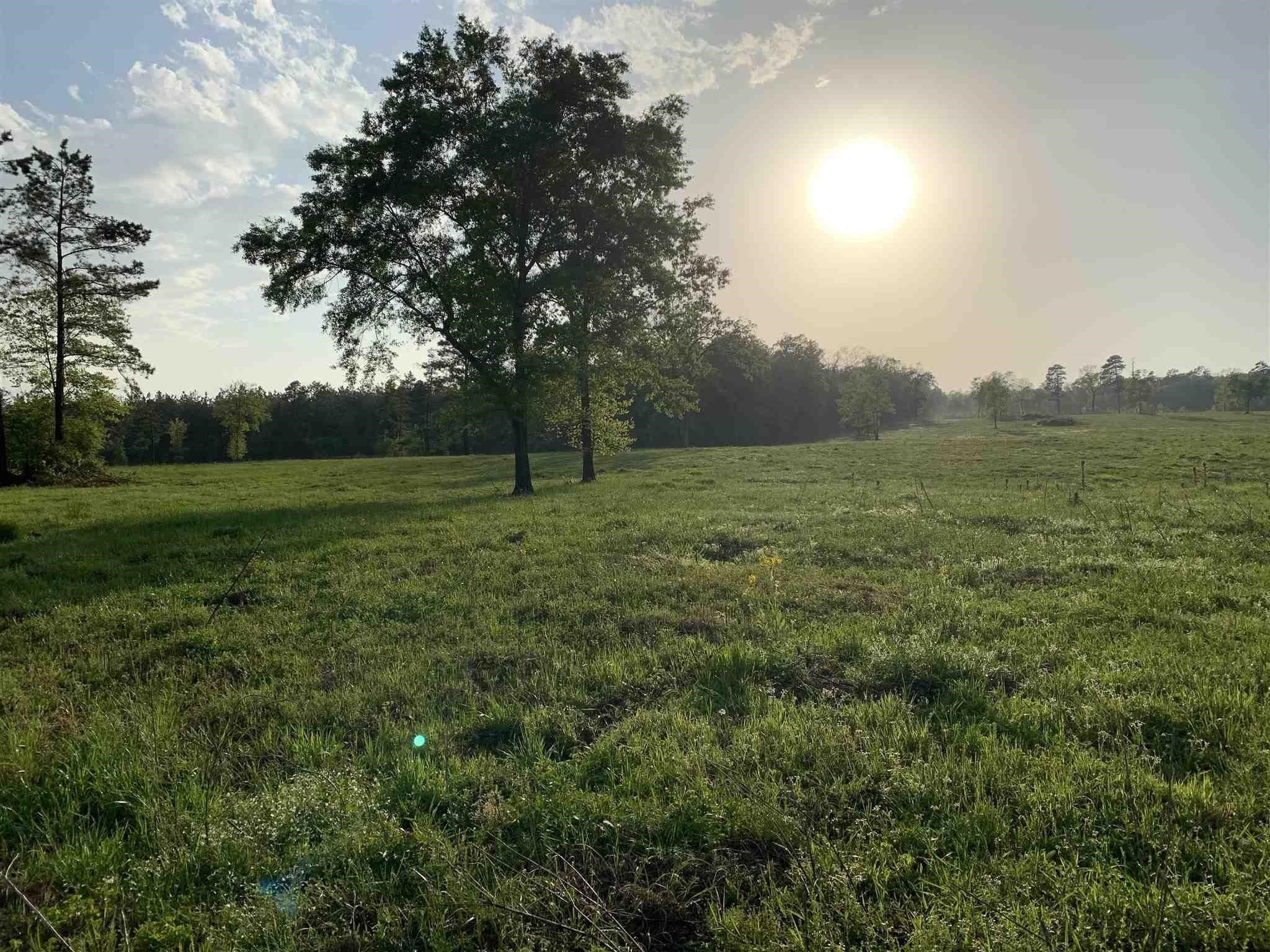 Campti, Shelby County, TX Undeveloped Land for sale Property ID