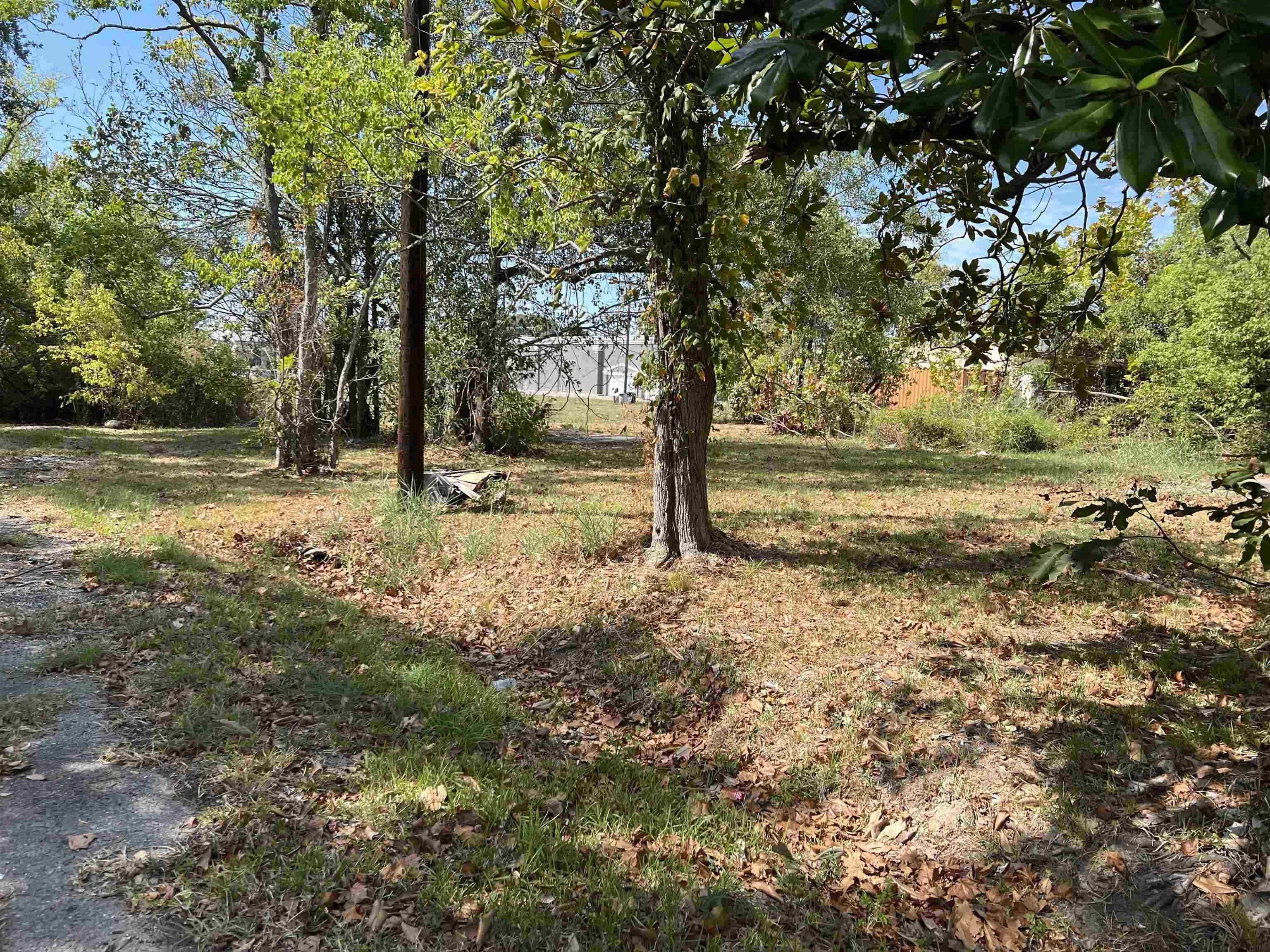 Orange, Polk County, TX Undeveloped Land, Homesites for sale Property