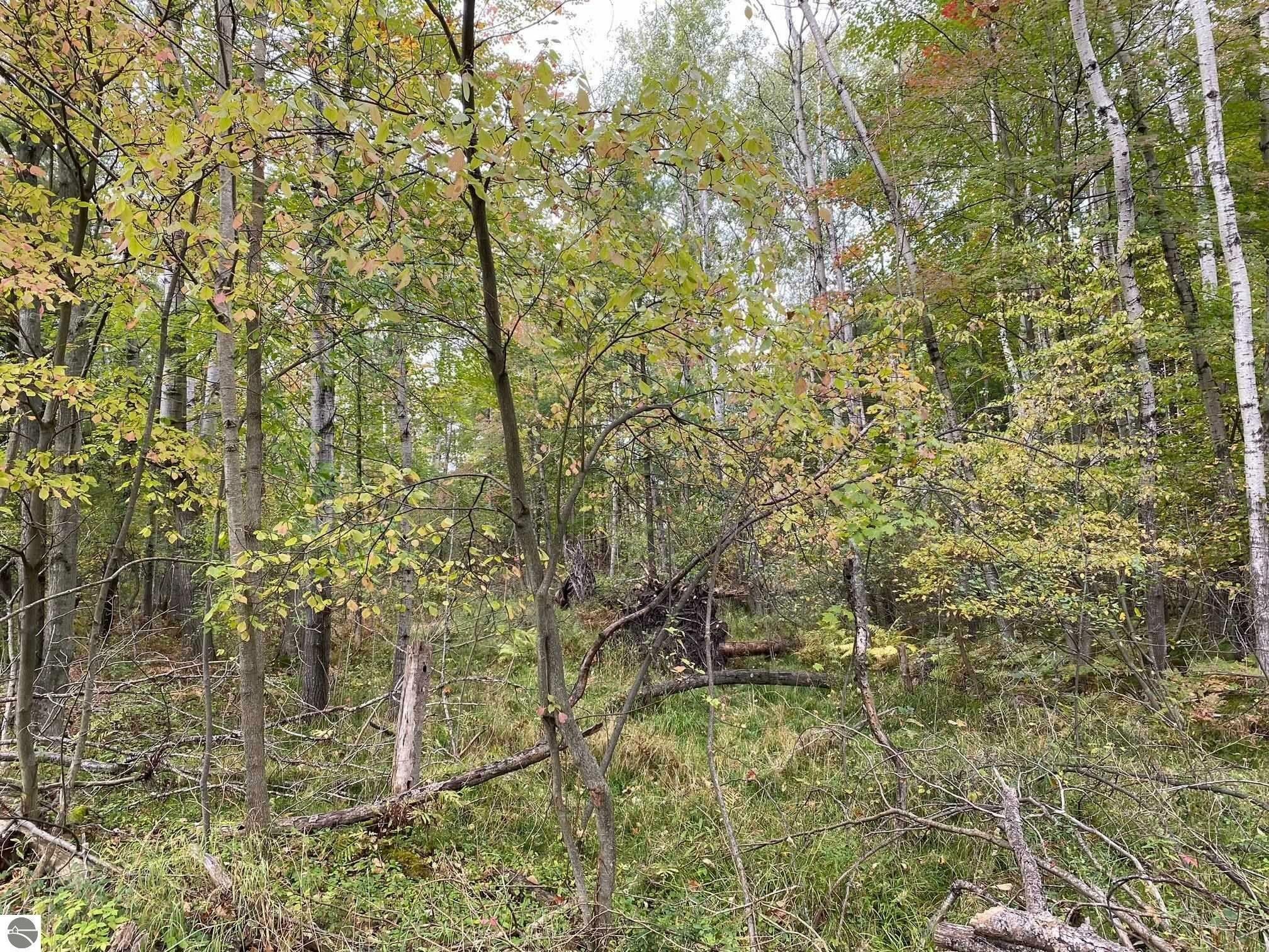 Evart, Osceola County, MI Undeveloped Land, Homesites for sale Property