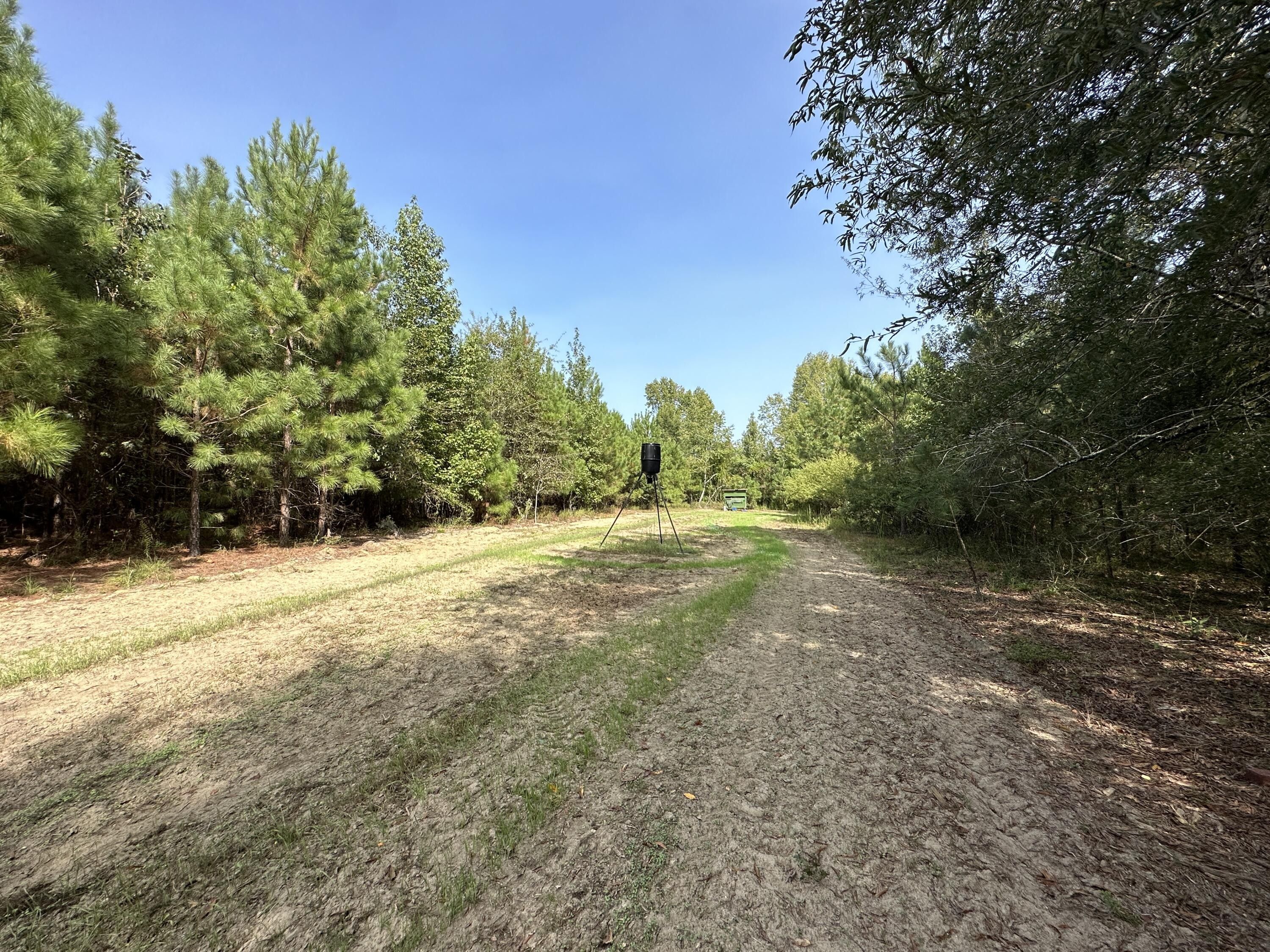 0 LITTLE NEW YORK Road, Keysville, GA 30816 MLS 521239 LandWatch