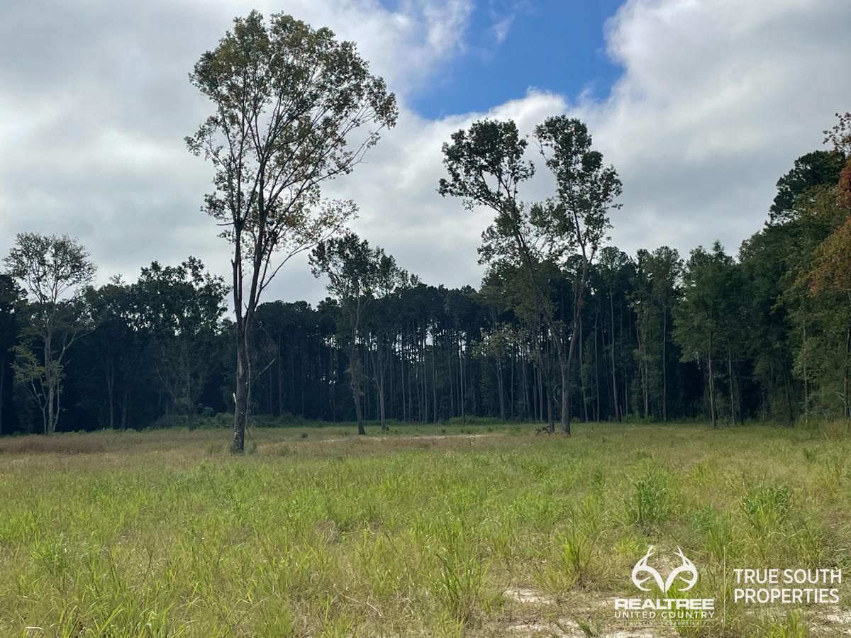 Ridgeland, Jasper County, SC Recreational Property, Undeveloped Land