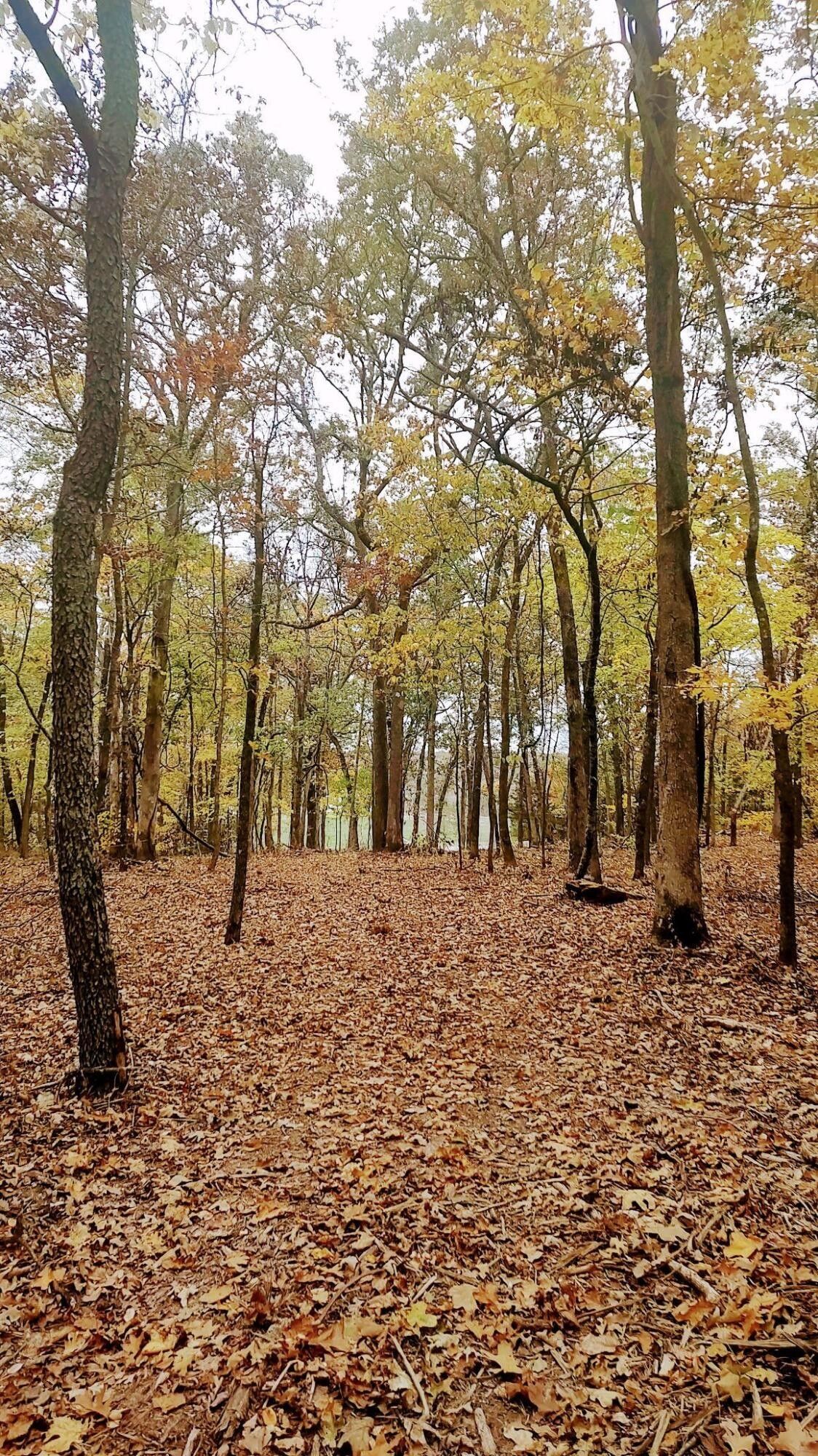 Bolivar, Polk County, MO Undeveloped Land for sale Property ID