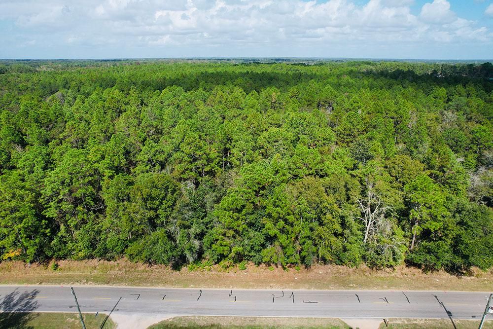 Irvington, Mobile County, AL Recreational Property, Timberland Property