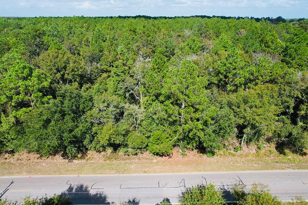 Irvington, Mobile County, AL Recreational Property, Timberland Property