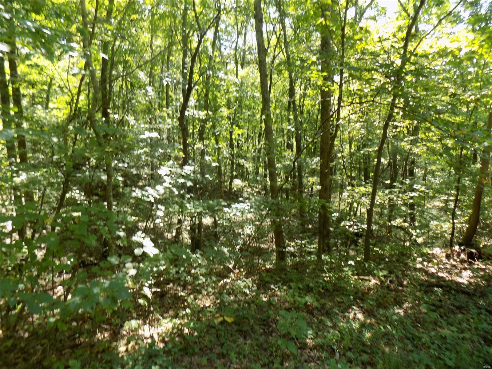 Ironton, Iron County, MO Farms and Ranches for sale Property ID