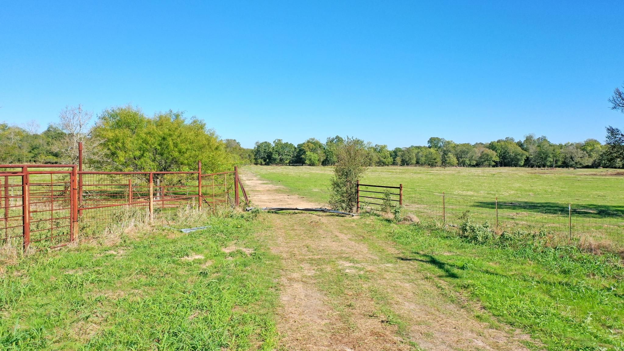 Farm to Market Road 2548, Midway, TX 75852 MLS 34541765 LandWatch
