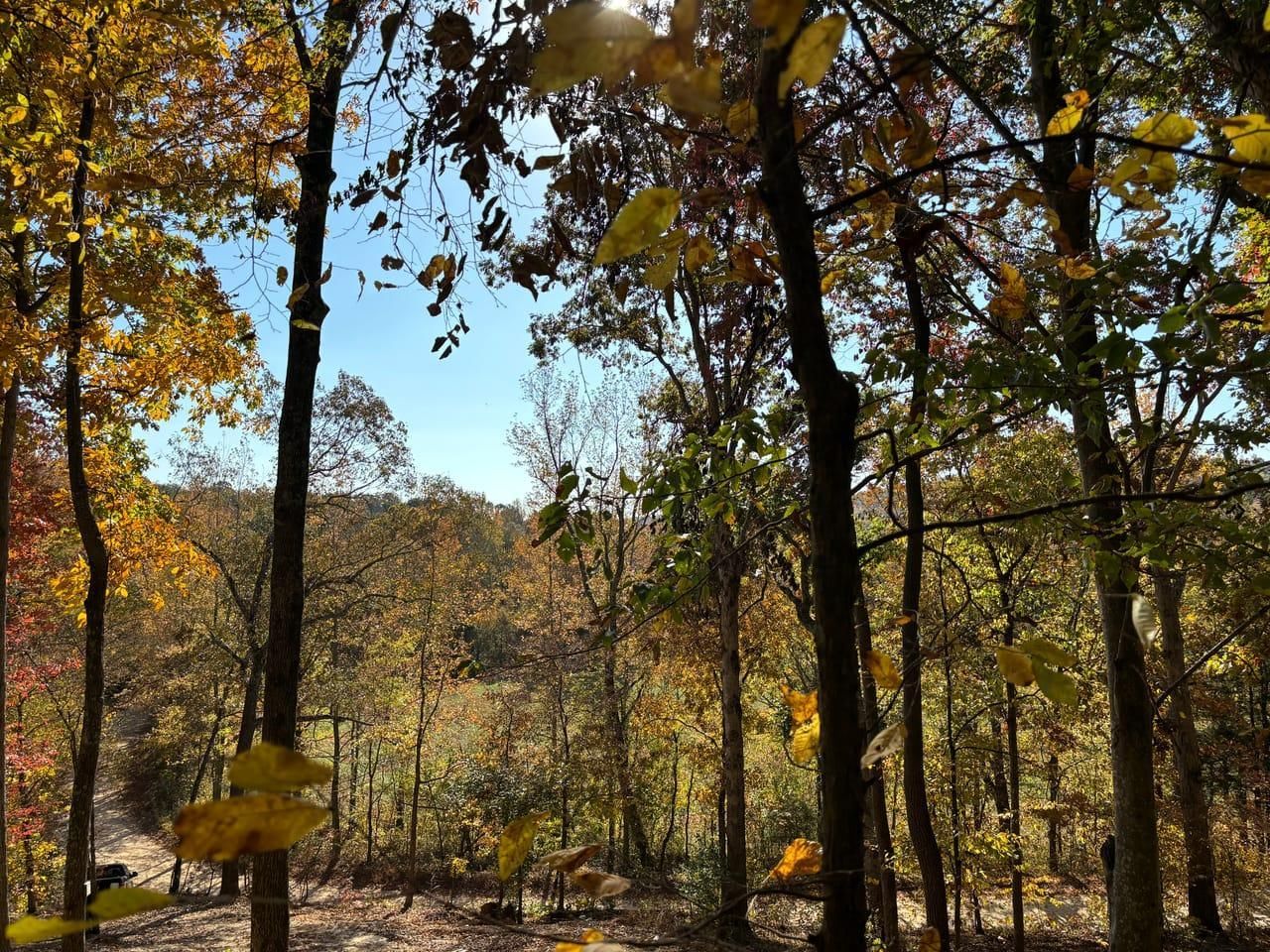 Waverly, Humphreys County, TN Undeveloped Land for sale Property ID