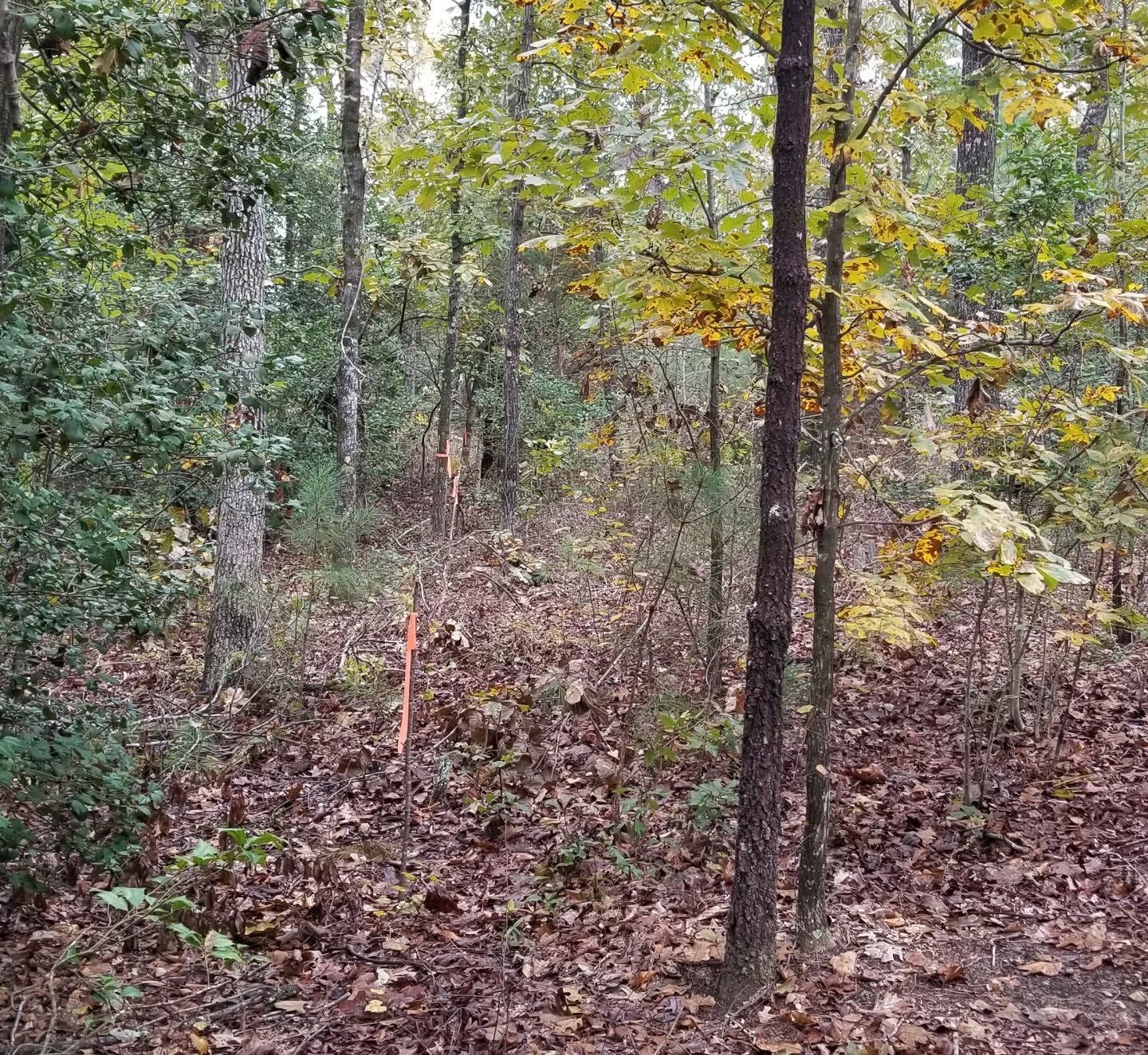 Ruth Vista Road, Lexington, SC 29073 LandWatch