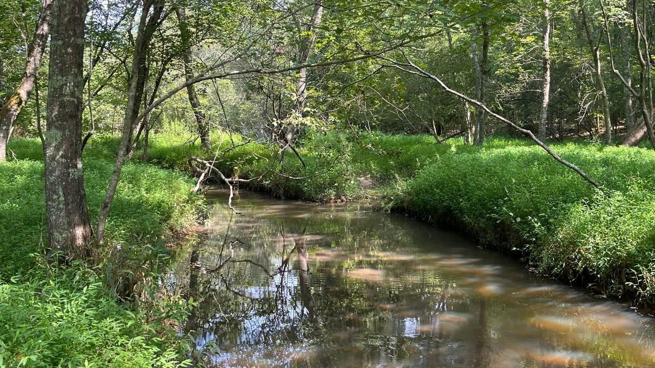 Lexington, Oglethorpe County, GA Recreational Property, Timberland