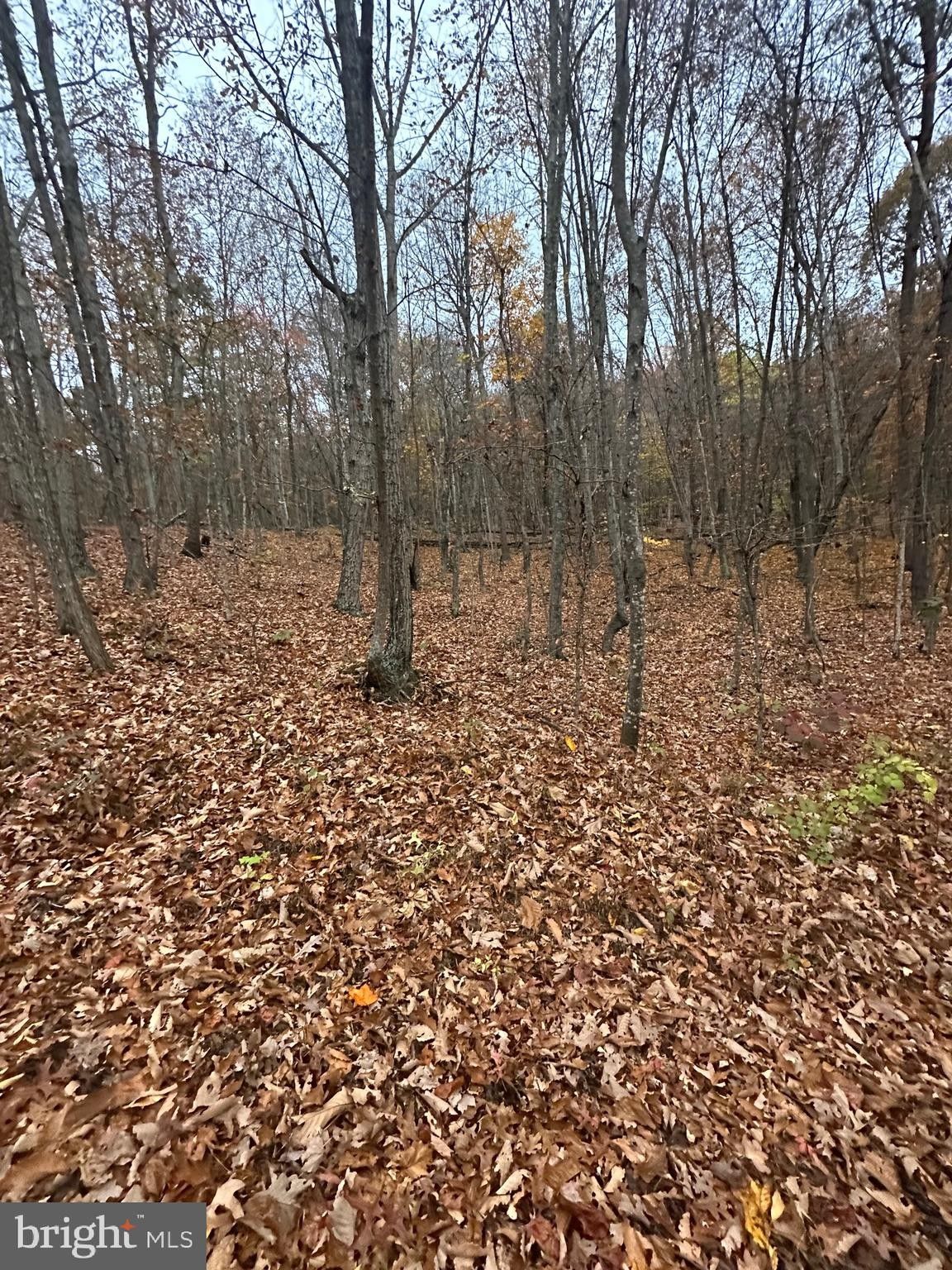 Fort Valley, Shenandoah County, VA Undeveloped Land, Homesites for sale