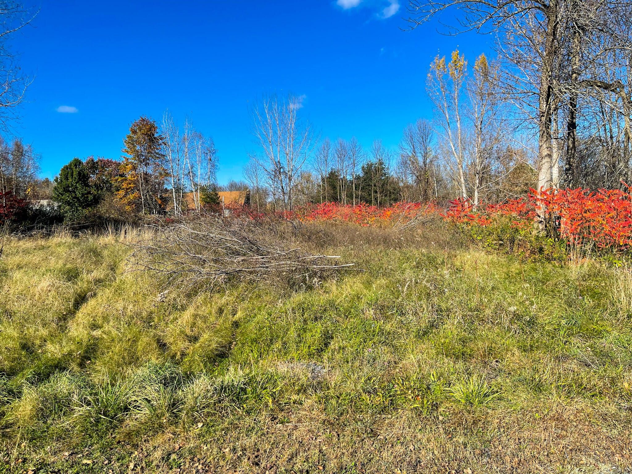 Plattsburgh, Clinton County, NY Undeveloped Land, Homesites for sale