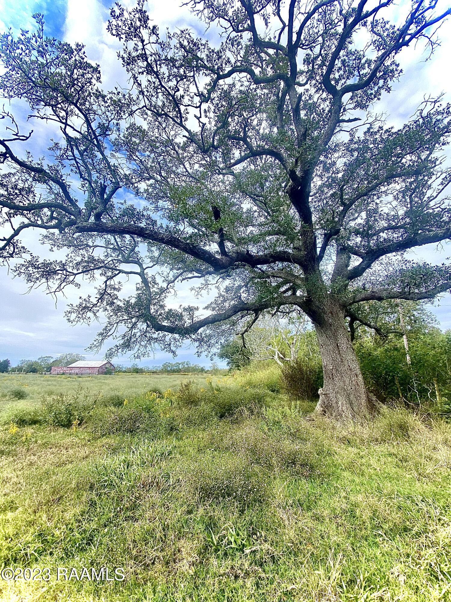 New Iberia, Iberia Parish, LA Undeveloped Land for sale Property ID