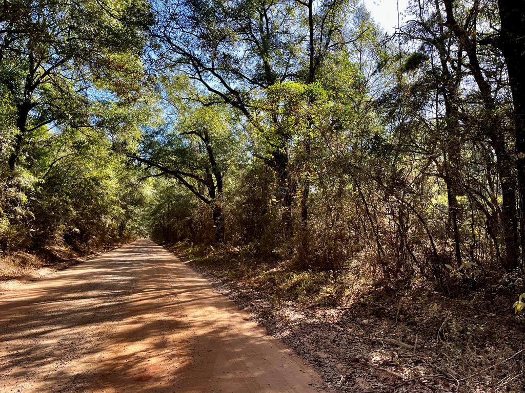 Geneva, Geneva County, AL for sale Property ID 418156194 LandWatch