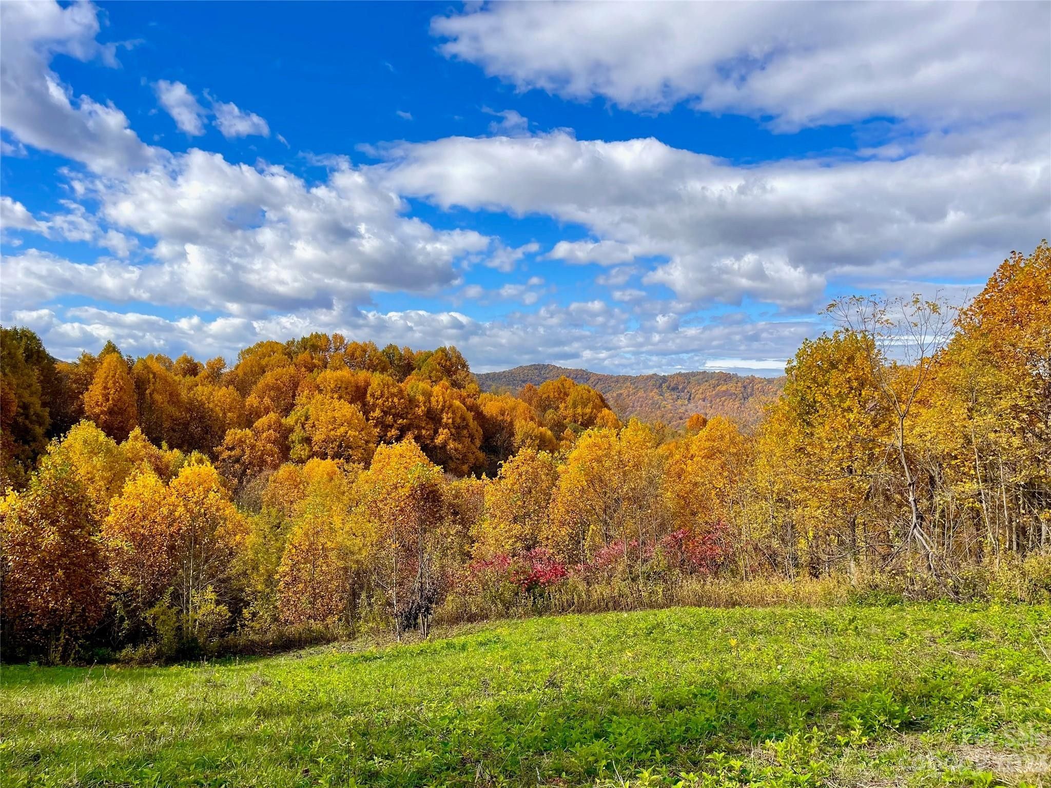 340 Wendy Avenue, Marshall, NC 28753 MLS 4011849 LandWatch