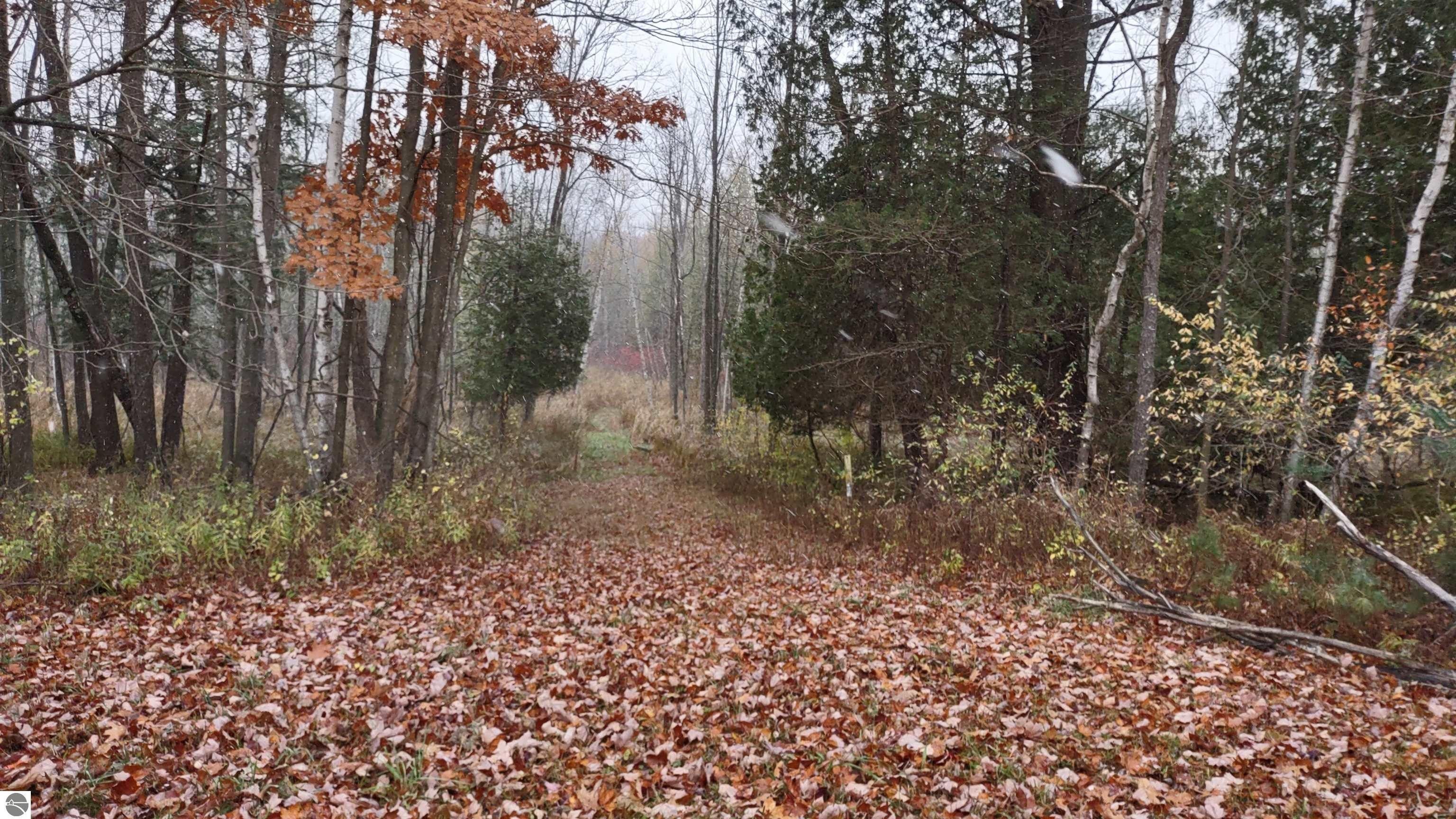 Remus, Mecosta County, MI Undeveloped Land, Lakefront Property