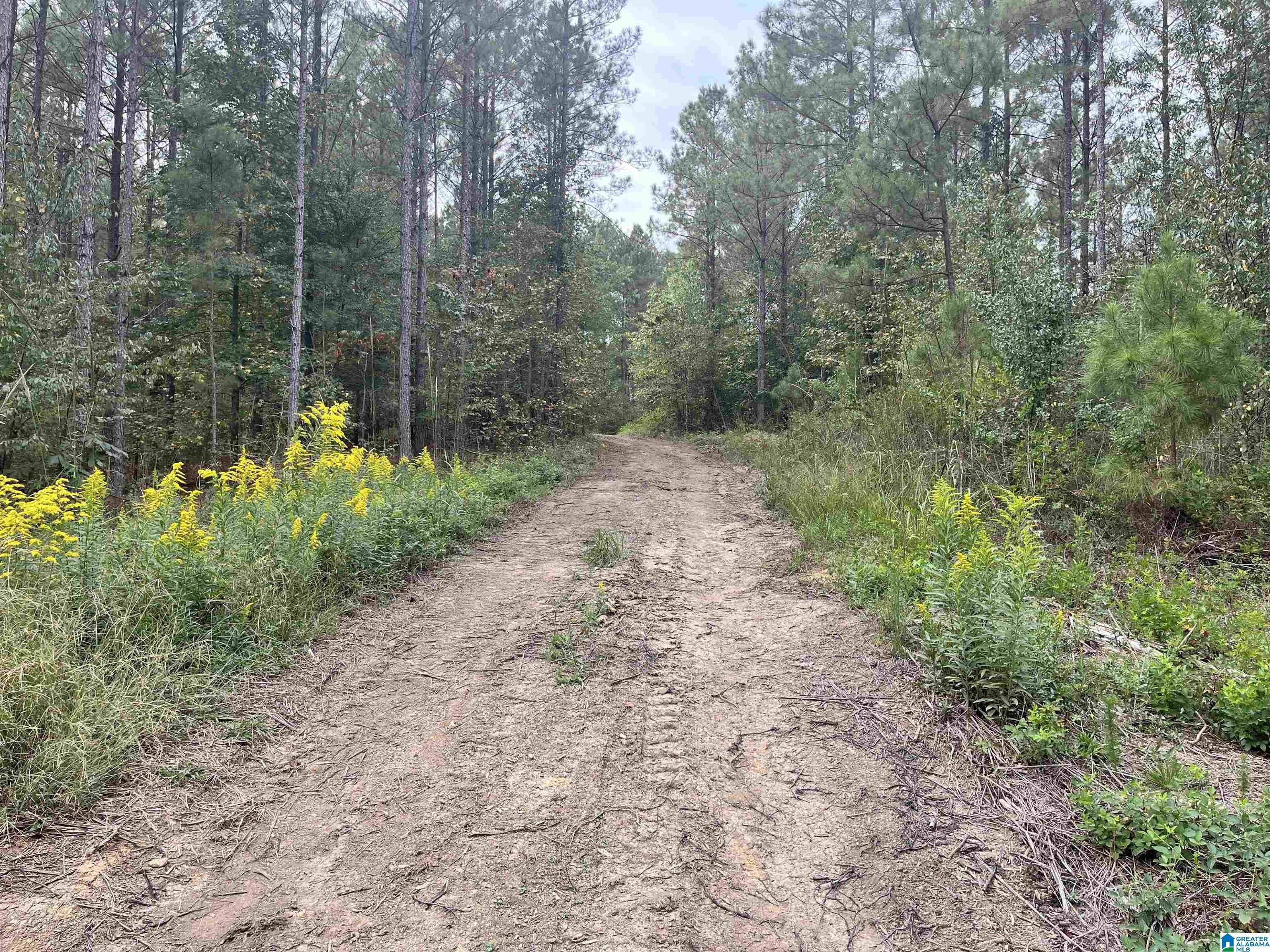 Pell City, Saint Clair County, AL Undeveloped Land, Homesites for sale Property ID 418157051