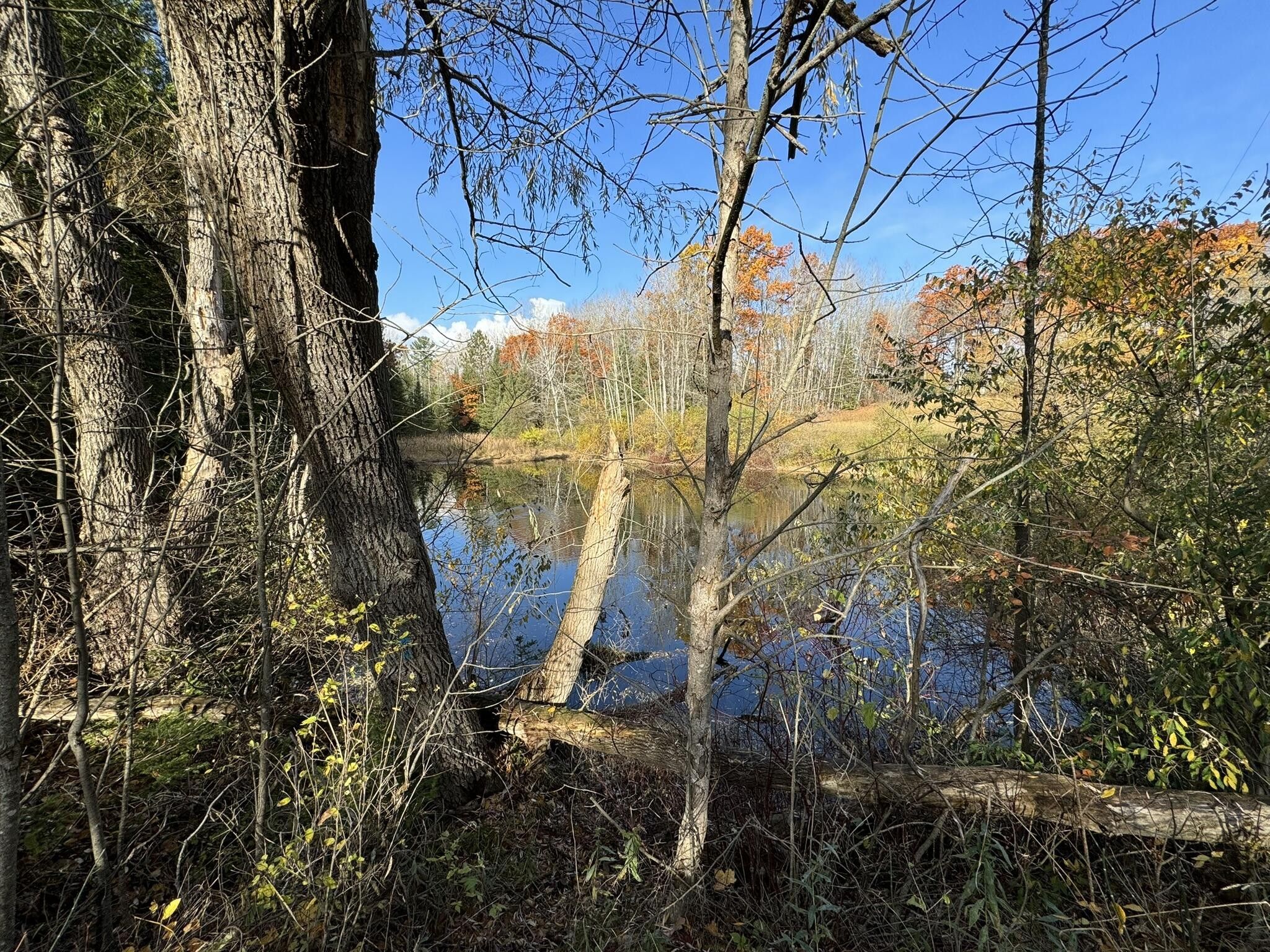 Hubbard Lake, Alpena County, MI Undeveloped Land for sale Property ID