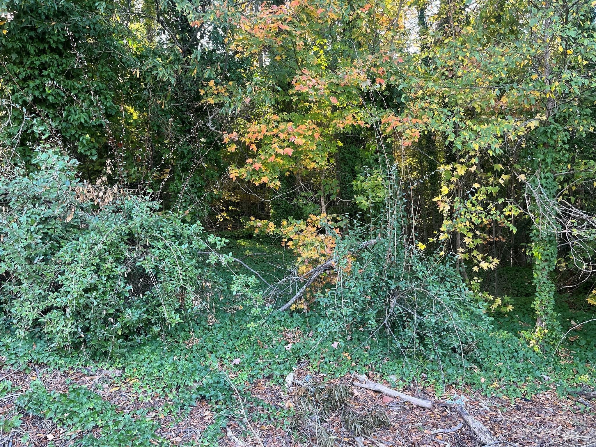 Kannapolis, Rowan County, NC Undeveloped Land, Homesites for sale