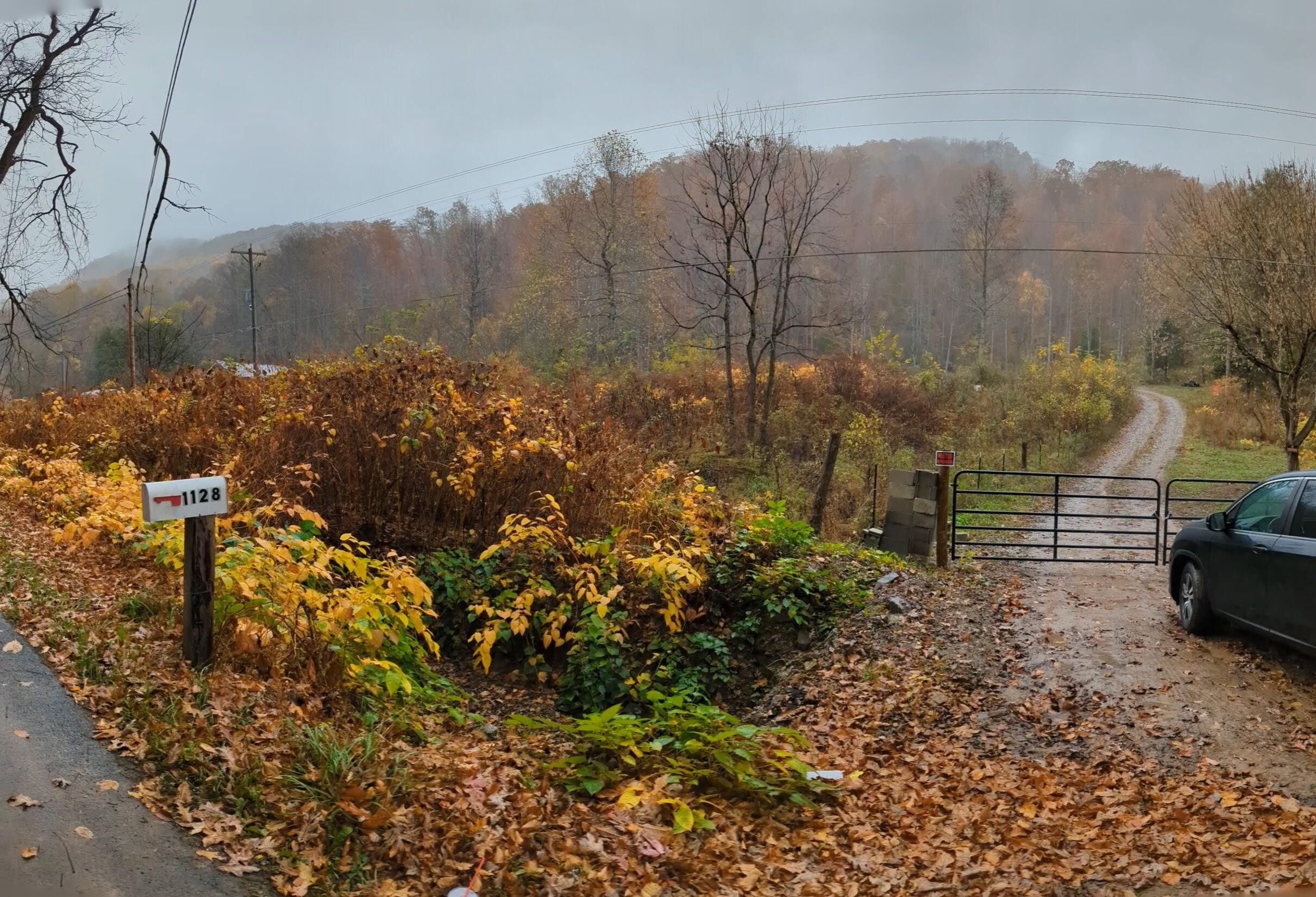 Pennington Gap, Lee County, VA Undeveloped Land for sale Property ID