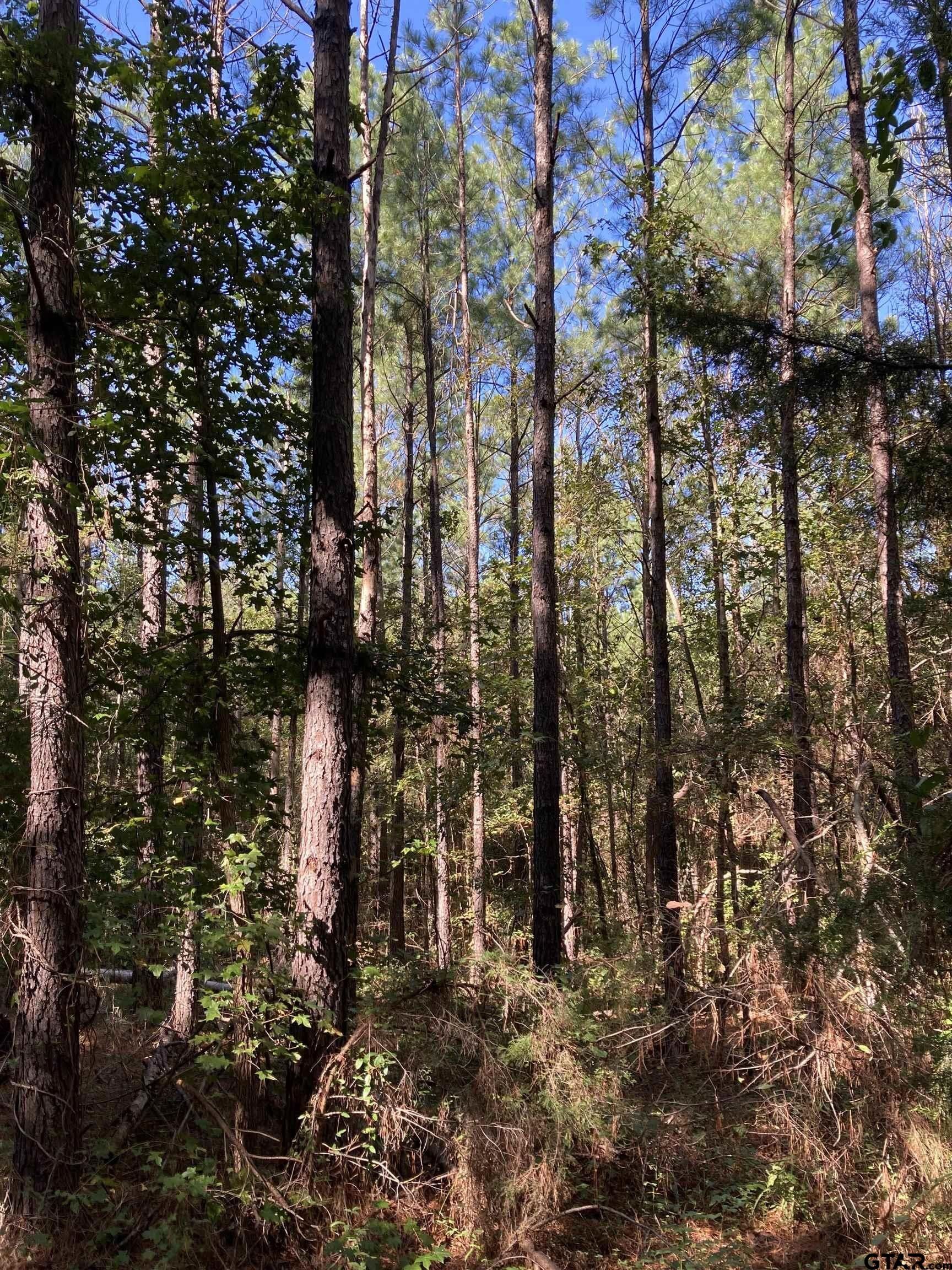 Gilmer, Upshur County, TX Undeveloped Land for sale Property ID