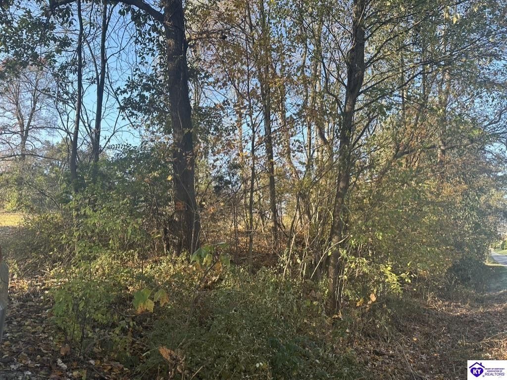 Glendale, Hardin County, KY Undeveloped Land for sale Property ID