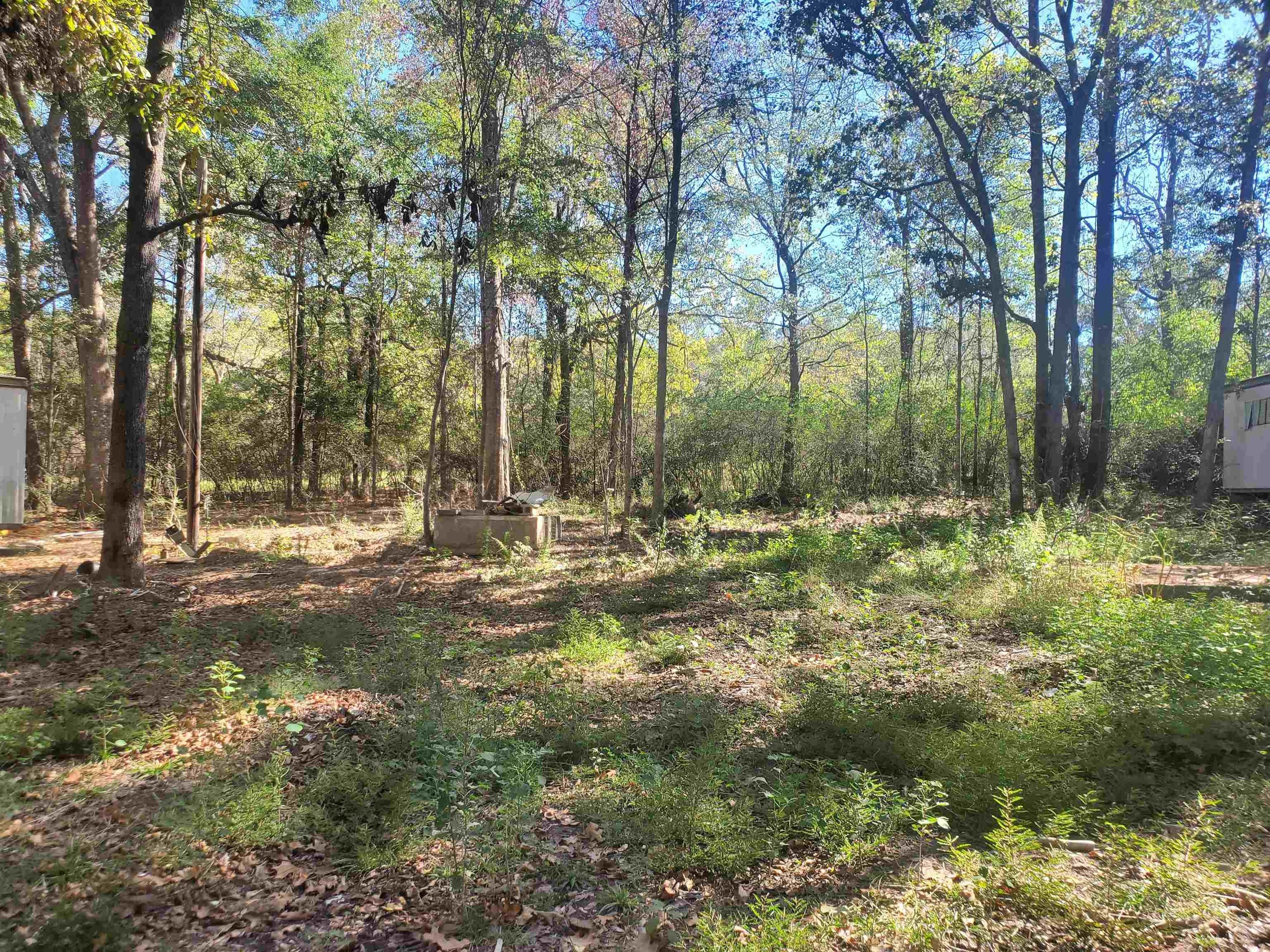 Hemphill, Sabine County, TX Undeveloped Land, Homesites for sale