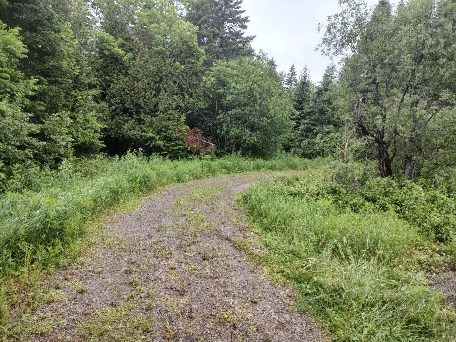 Woodland, Aroostook County, ME Undeveloped Land, Lakefront Property