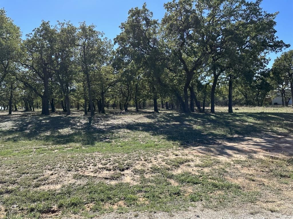 Bridgeport, Wise County, TX Farms and Ranches, Homesites for sale