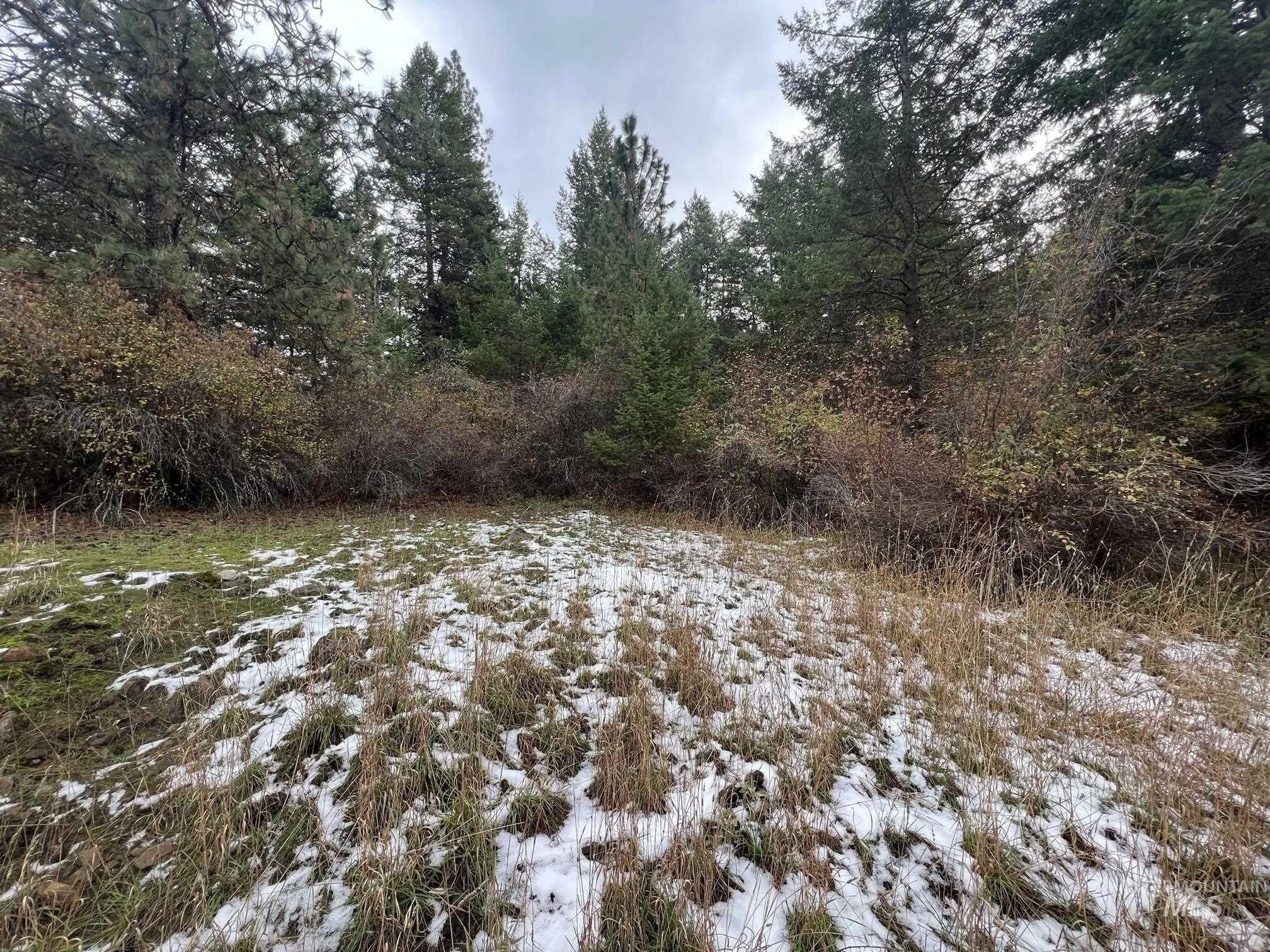 White Bird, Idaho County, ID Undeveloped Land, Homesites for sale