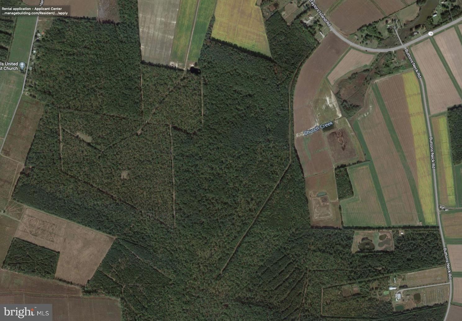 Woolford, Dorchester County, MD Undeveloped Land for sale Property ID