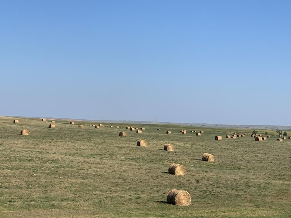 160 acres in Martin, SD, 57716 LandWatch