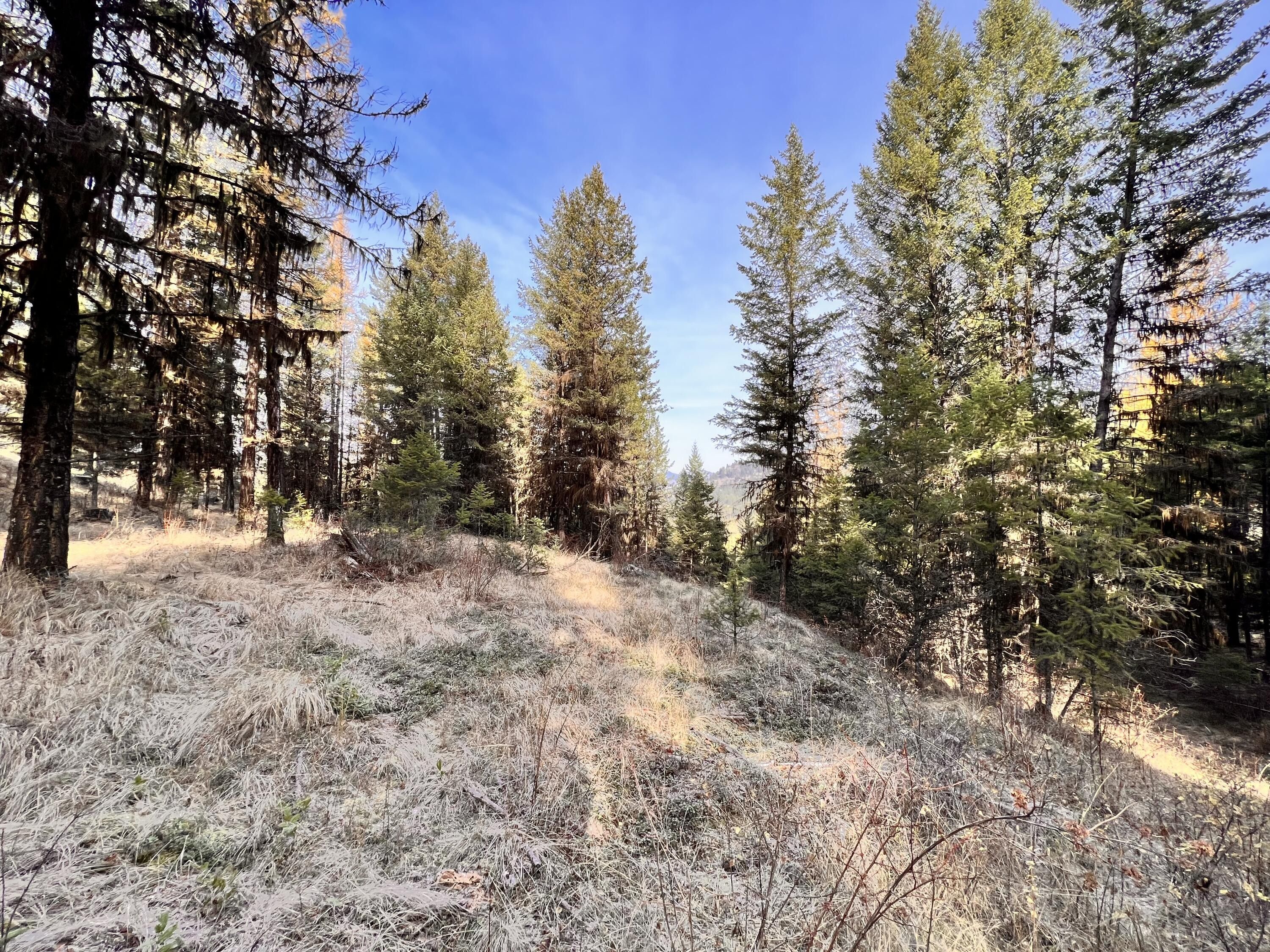 Curlew, Ferry County, WA Undeveloped Land, Lakefront Property