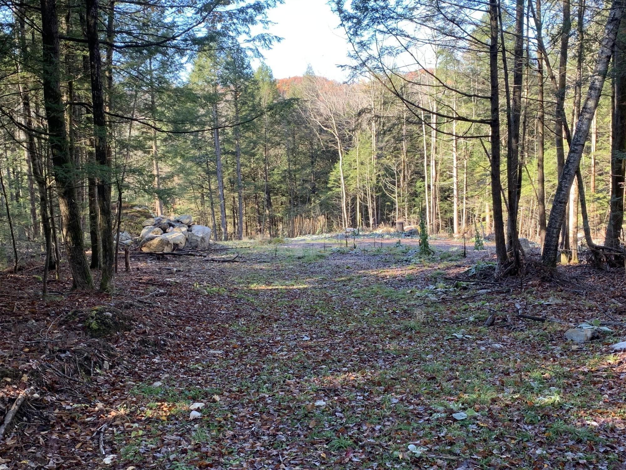 Lewis, Essex County, NY Homesites for sale Property ID 418164269