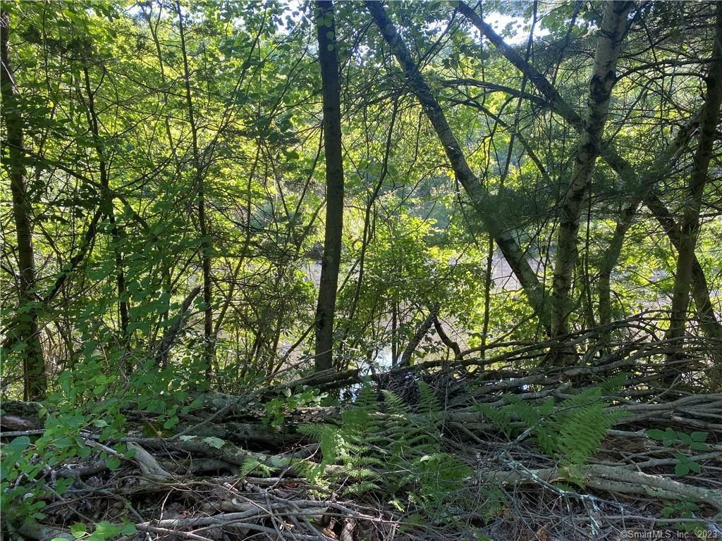 Plymouth, Litchfield County, CT Undeveloped Land, Lakefront Property