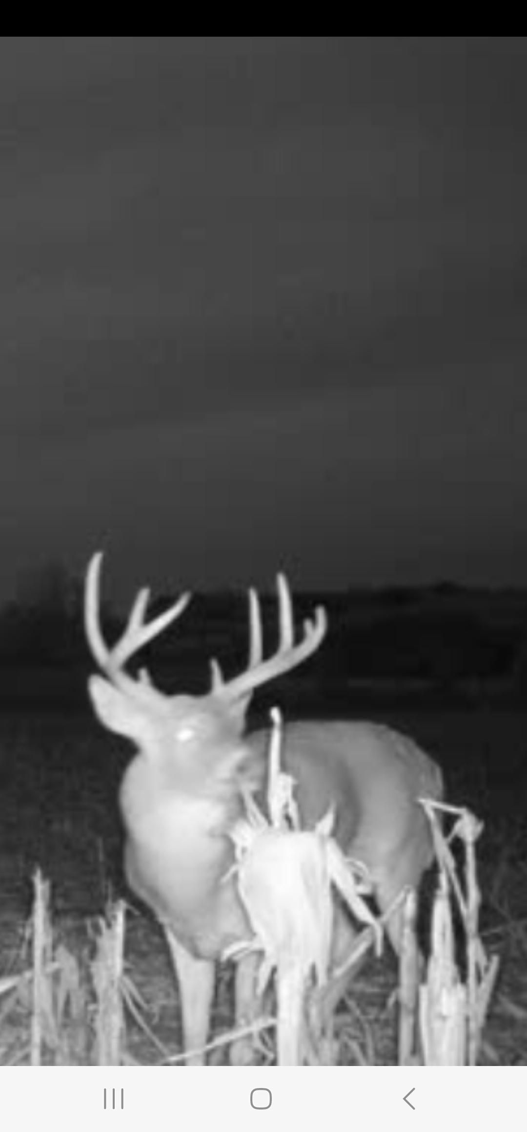 Milan, Sullivan County, MO Farms and Ranches, Timberland Property