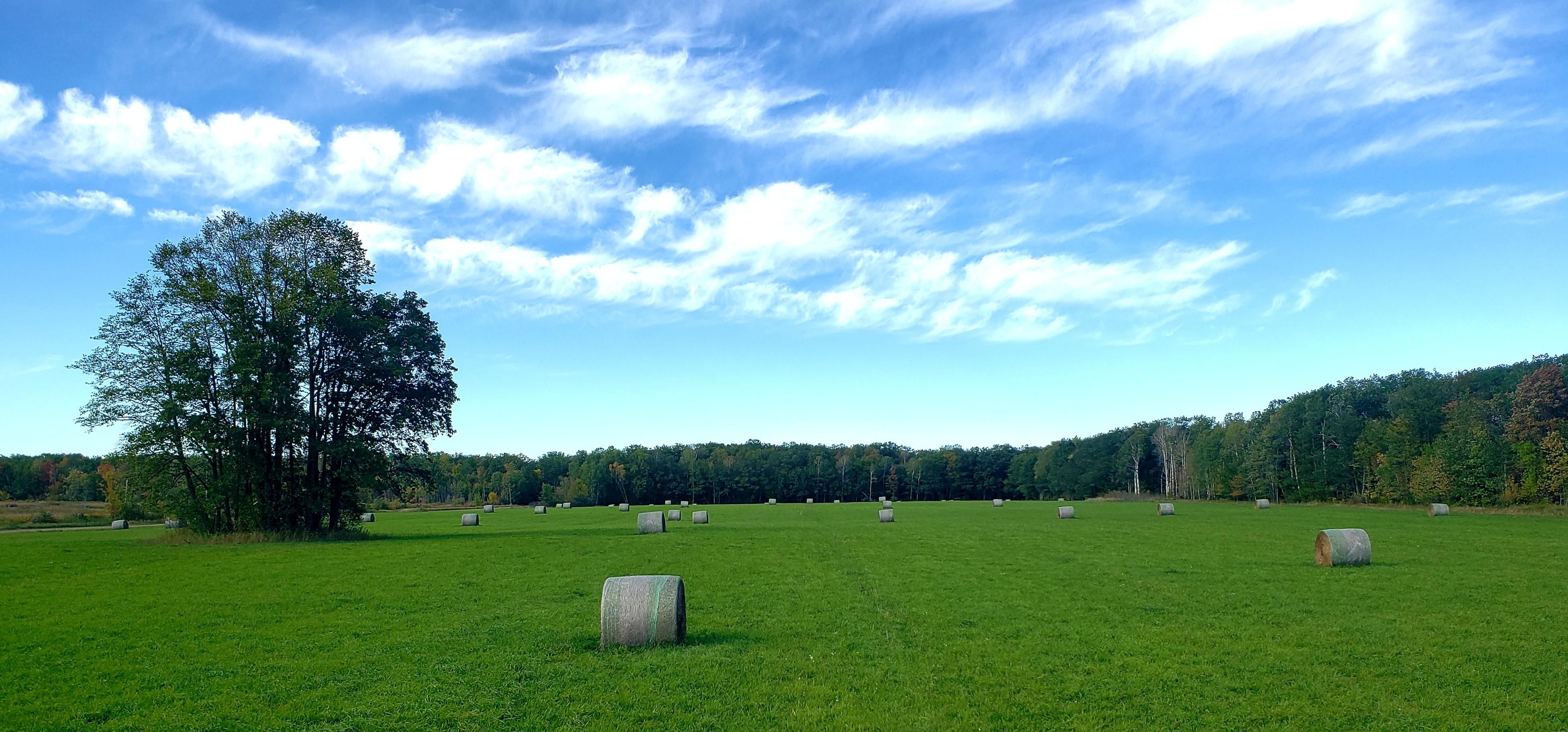 Brook Park, Kanabec County, MN Recreational Property, Hunting Property