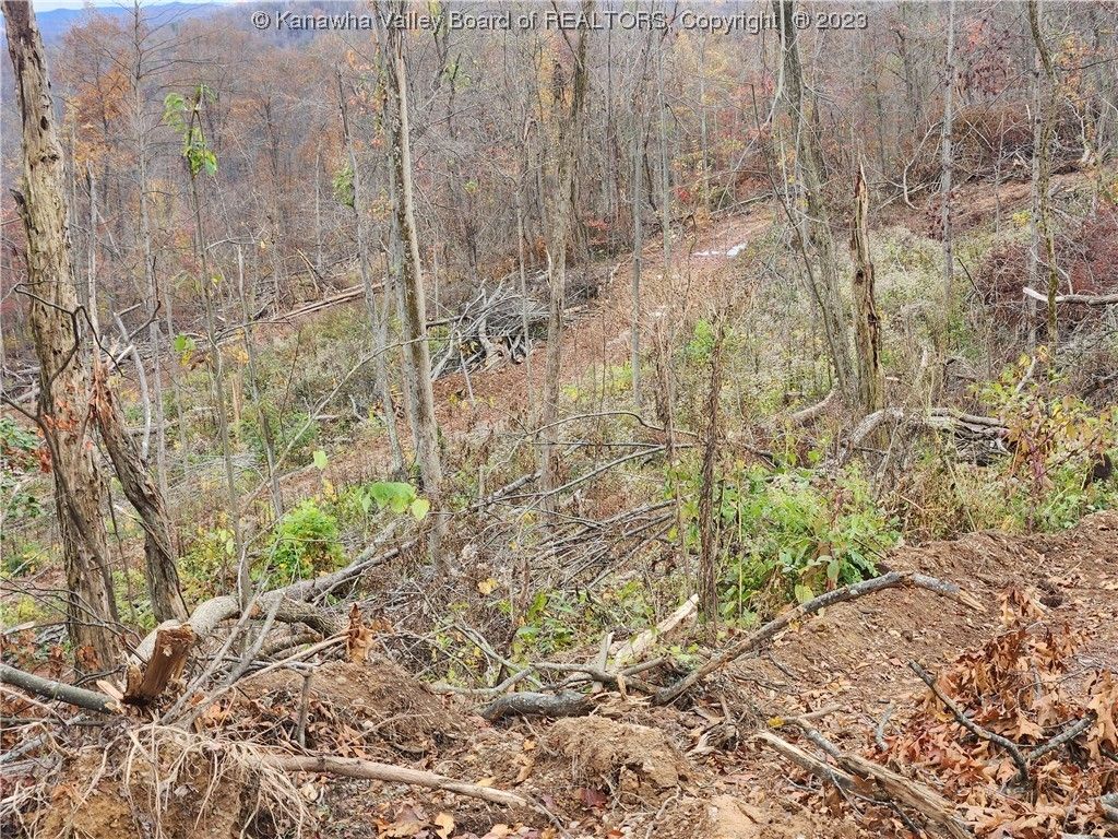 Clay, Clay County, WV Undeveloped Land for sale Property ID 418168300