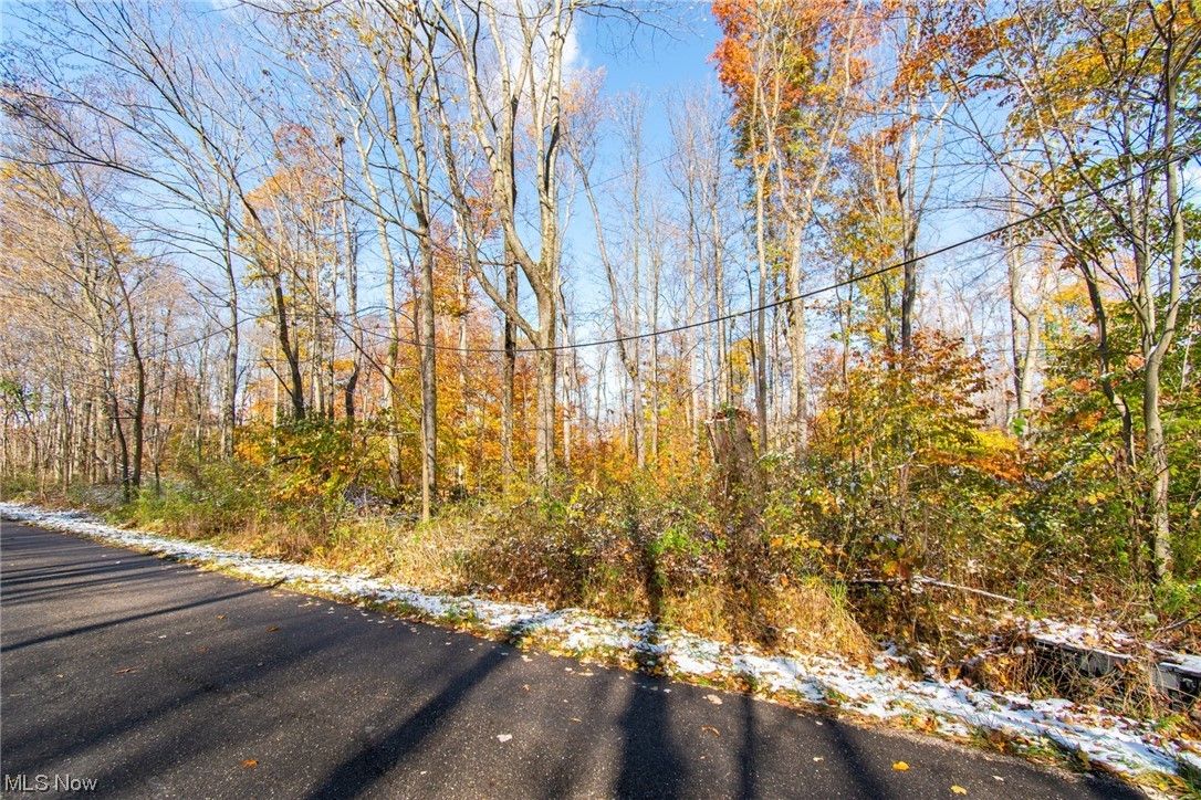 Salem, Mahoning County, OH Undeveloped Land for sale Property ID 418168462 LandWatch