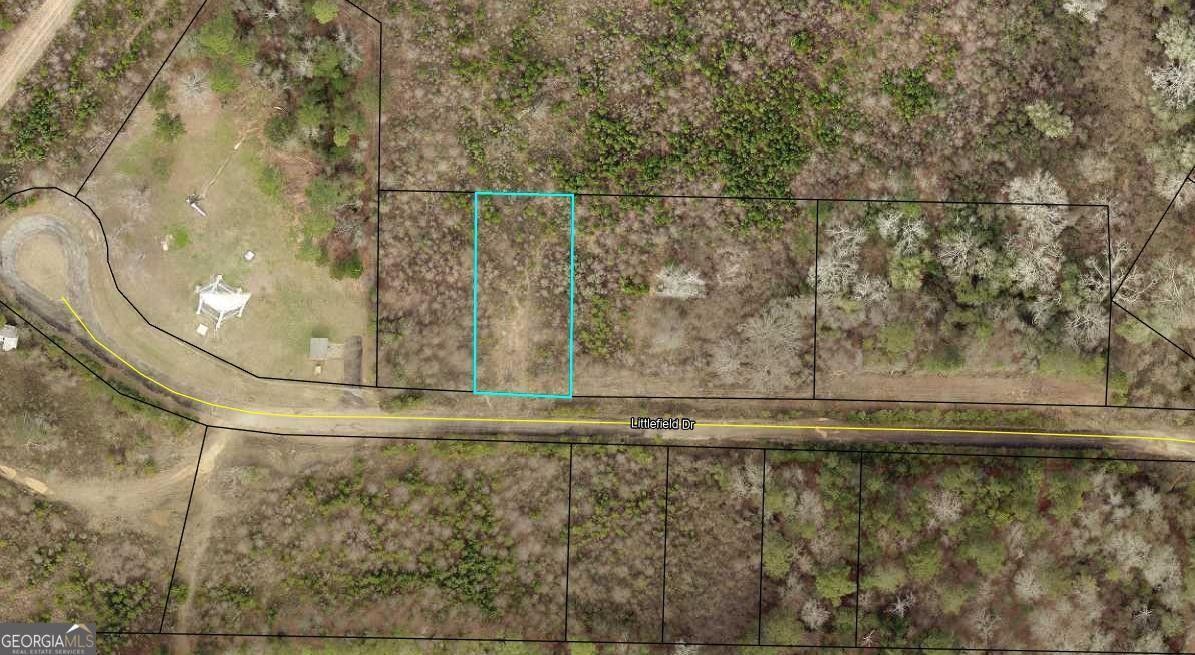 Americus, Sumter County, GA Undeveloped Land, Homesites for sale