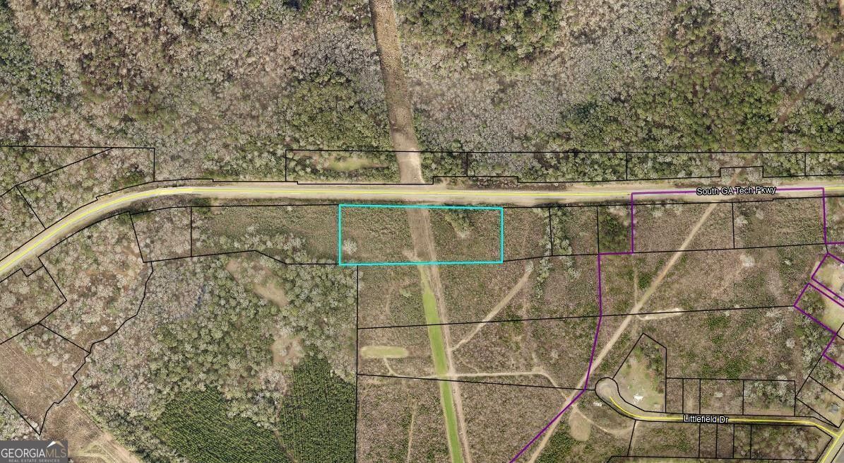 Americus, Sumter County, GA Undeveloped Land for sale Property ID
