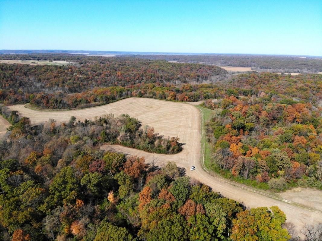 80 acres in Fieldon, IL, 62031 LandWatch