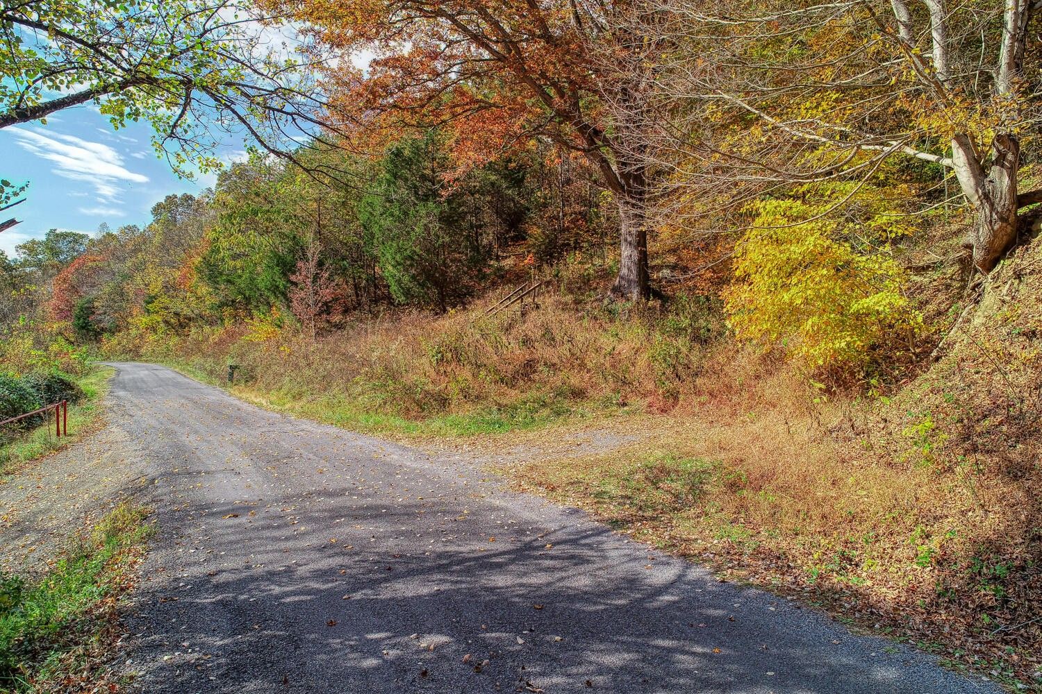 Rogersville, Hawkins County, TN Undeveloped Land for sale Property ID