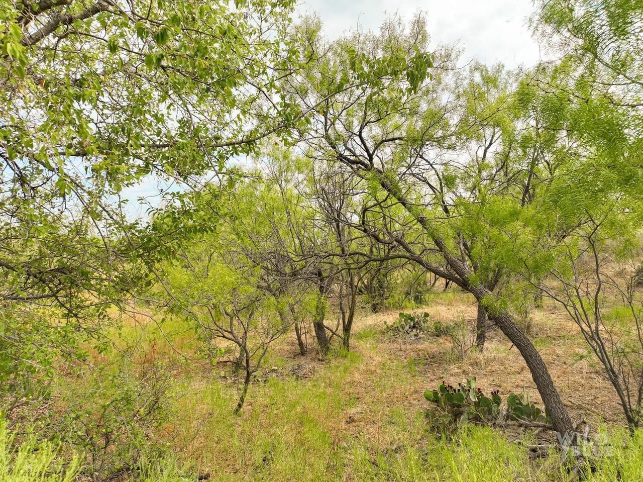 Putnam, Callahan County, TX Farms and Ranches, Recreational Property