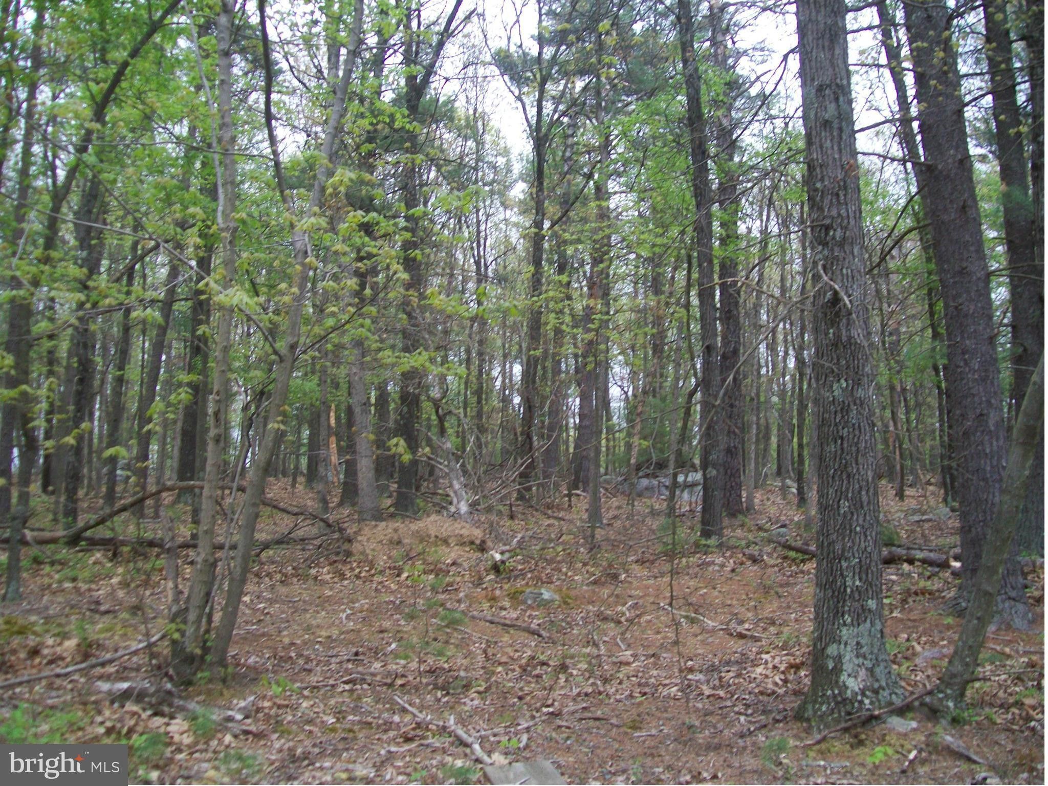 Augusta, Hampshire County, WV Undeveloped Land, Homesites for sale