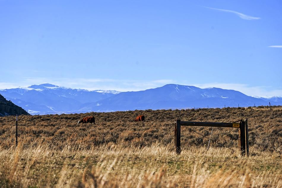 Cottonwood Road, Bridger, MT 59014 LandWatch