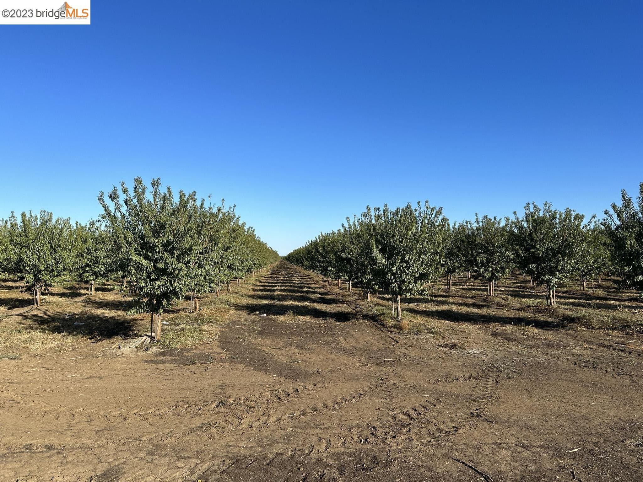 Woodland, Yolo County, CA for sale Property ID 418173604 LandWatch