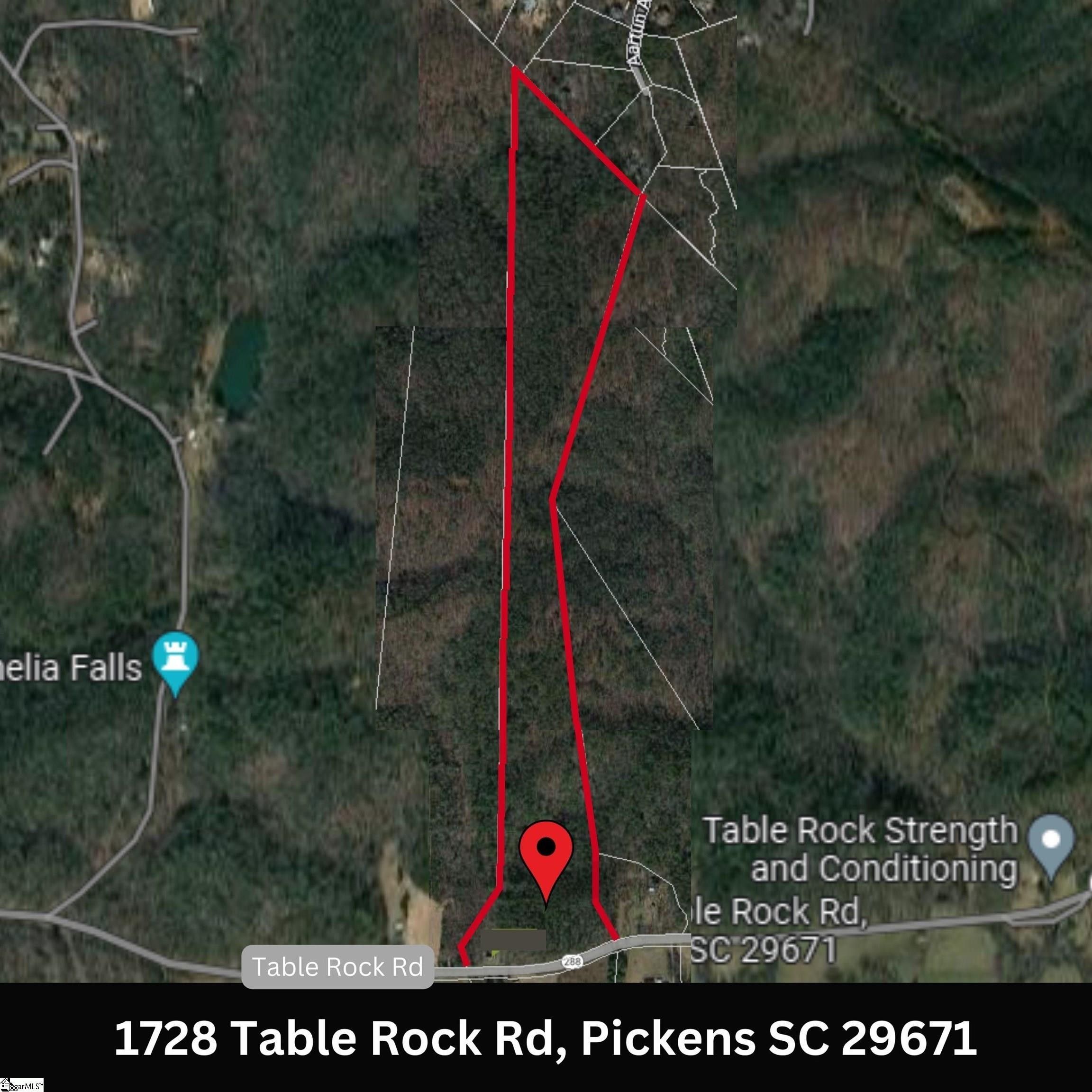 Pickens, Pickens County, SC Undeveloped Land for sale Property ID
