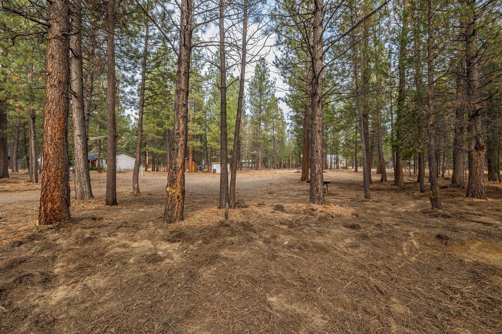 La Pine, Deschutes County, OR Undeveloped Land, Homesites for sale