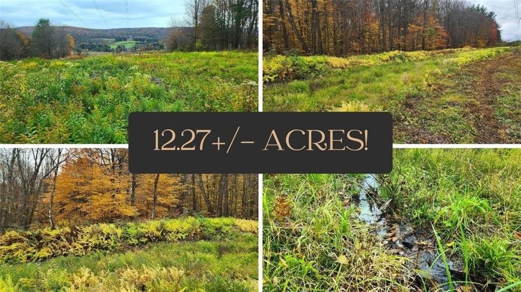 Afton, Chenango County, NY Undeveloped Land for sale Property ID