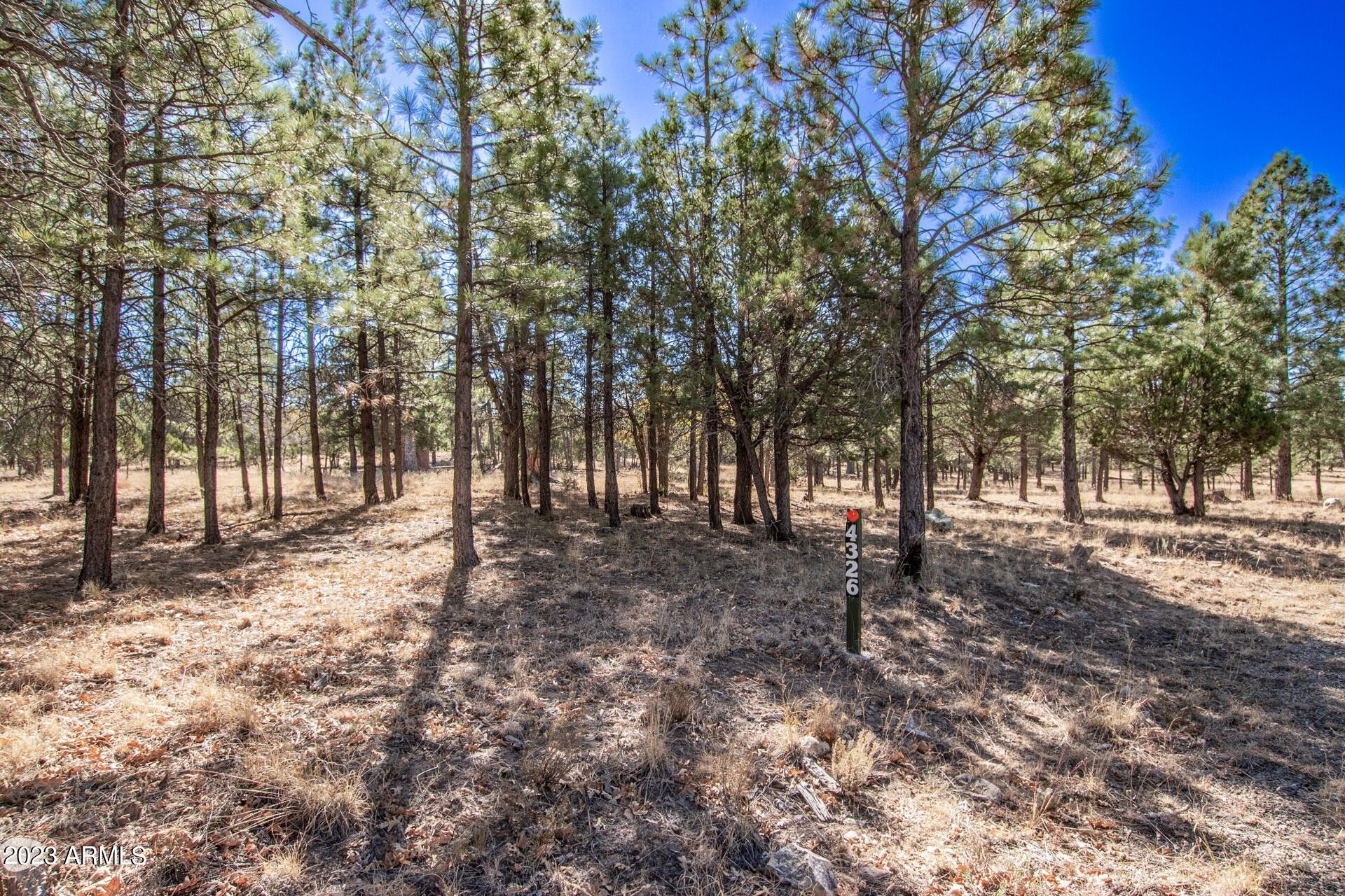 Happy Jack, Coconino County, AZ Undeveloped Land, Homesites for sale